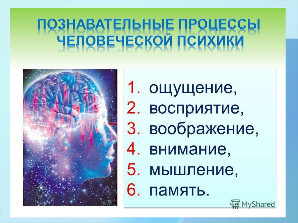 Процессы памяти мышления. Восприятие память ощущение воображение. Ощущение восприятие память мышление воображение это. Ощущение восприятие память внимание воображение это. Ощущение восприятие внимание память.