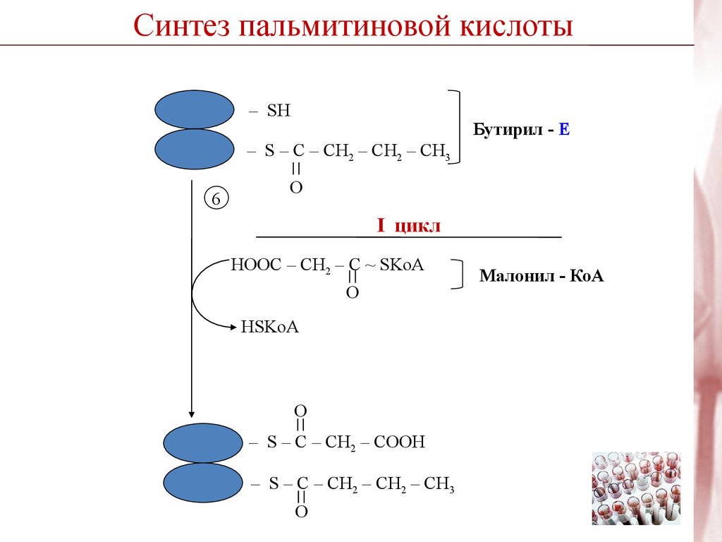 Синтез пальмитиновой