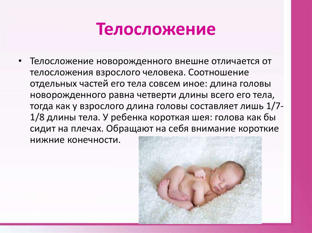 Как отличить ребенка. Телосложени еноворожденног. Телосложение новорожденного. Физические данные новорожденного. Пропорции тела новорожденного ребенка.