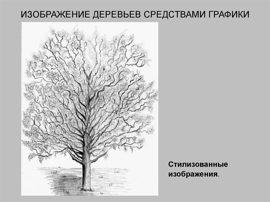 Изображение выполненное от руки с помощью графических средств называется