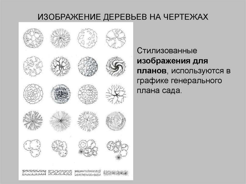 Как обозначается дерево на чертежах