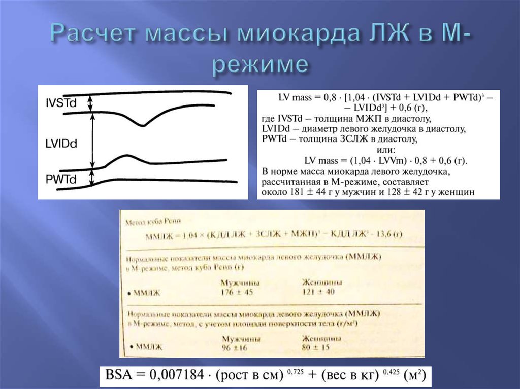 Масса миокарда левого. Масса левого желудочка Cube. Масса миокарда лж норма. Калькулятор индекса массы миокарда лж. Масса миокарда левого желудочка калькулятор.