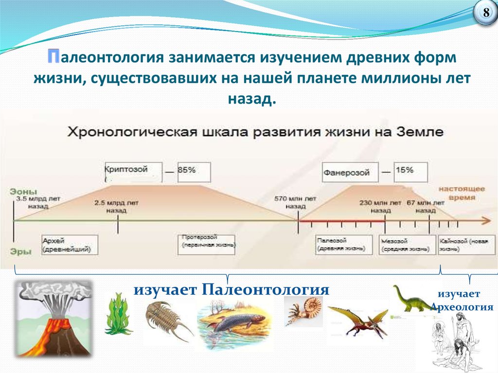 Науки изучающие древние организмы. Формы жизни на земле. Периоды в палеонтологии. Существующие формы жизни на земле. Хронология палеонтологии.