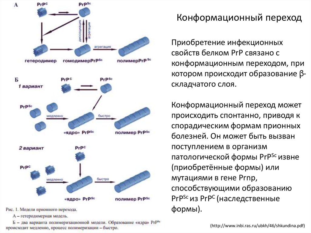 Карта спорадического прохождения