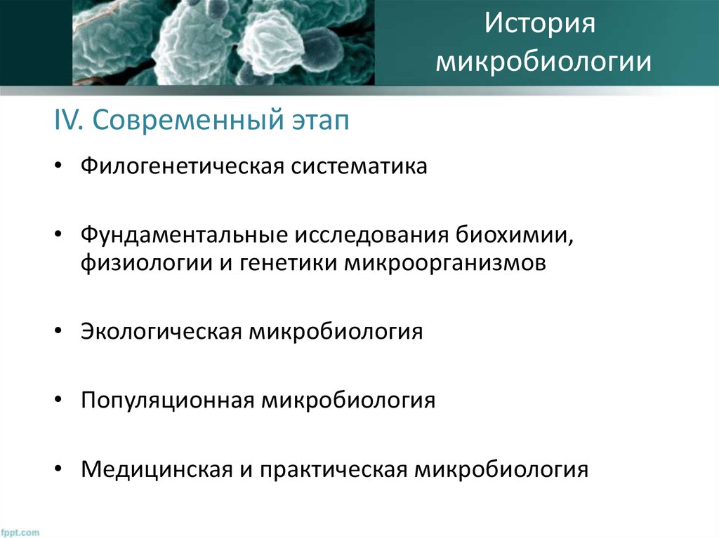 Генетика микроорганизмов микробиология презентация