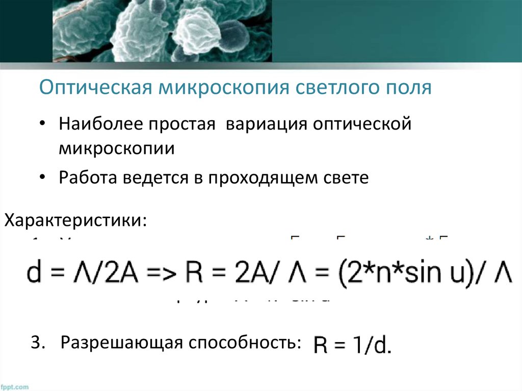 Микроскопия в светлом поле