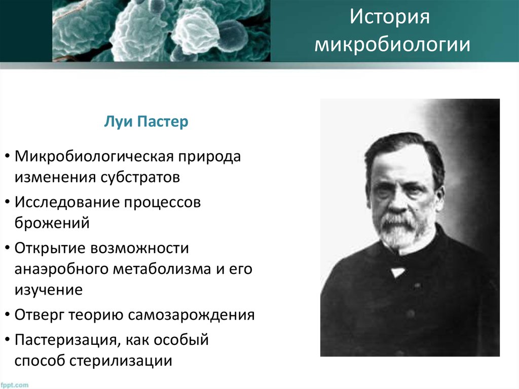 Какие возможности открыл. Заслуги Луи Пастера в микробиологии. Луи Пастер микробиология. Луи Пастер открытия в микробиологии. Луи Пастер вклад в микробиологию.