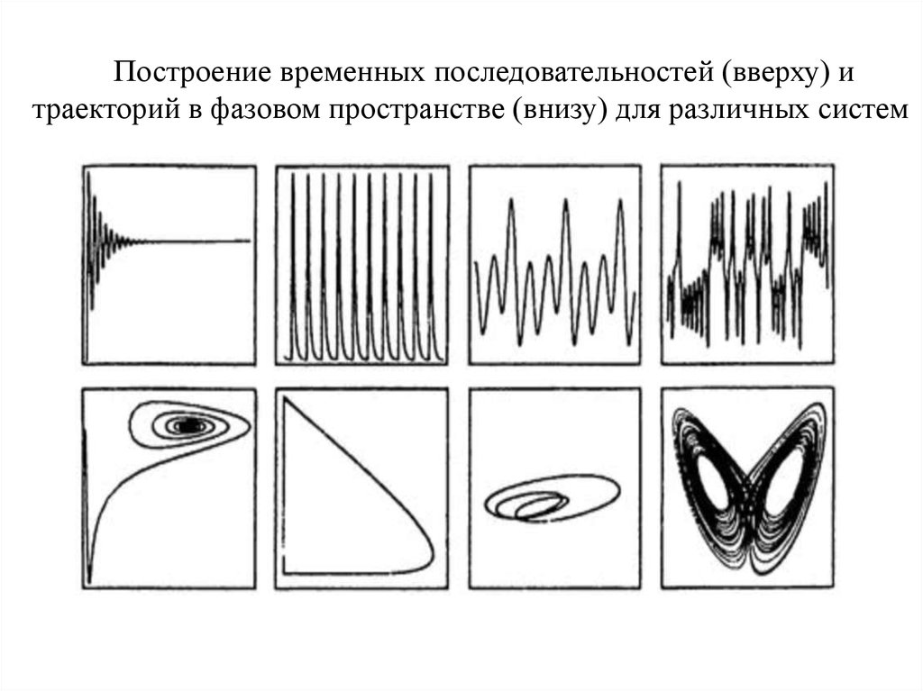 Временная последовательность. Хаос в биологических системах.