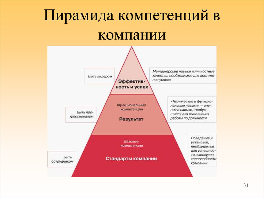 Уровни руководства организации. Модель компетенций компании. Пирамида компетенций. Развитие компетенций персонала в организации. Управление компетенциями.