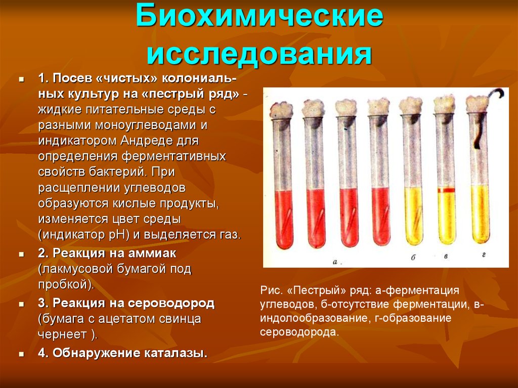 Среда исследования. Питательные среды среда Гисса. Биохимические методы исследования микроорганизмов таблица. Биохимический метод исследования в микробиологии. Биохимическая активность бактерий средах Гисса.