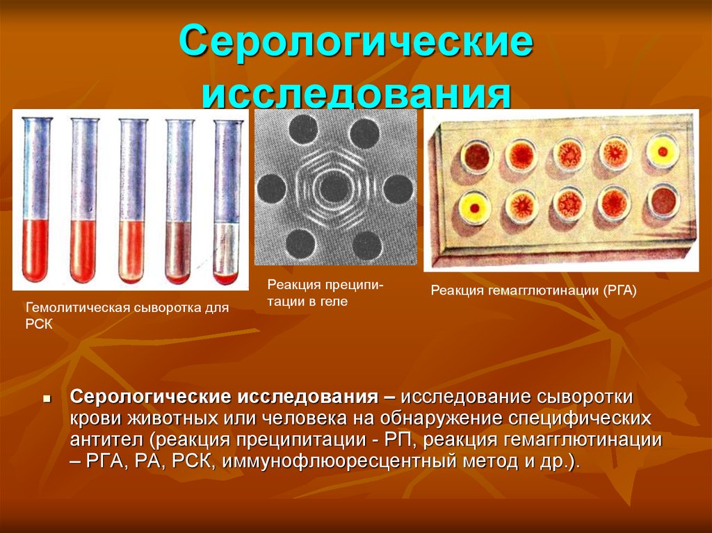 Серологические исследования что это