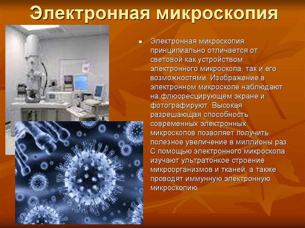 30 в электронной микроскопии для увеличения изображения используют