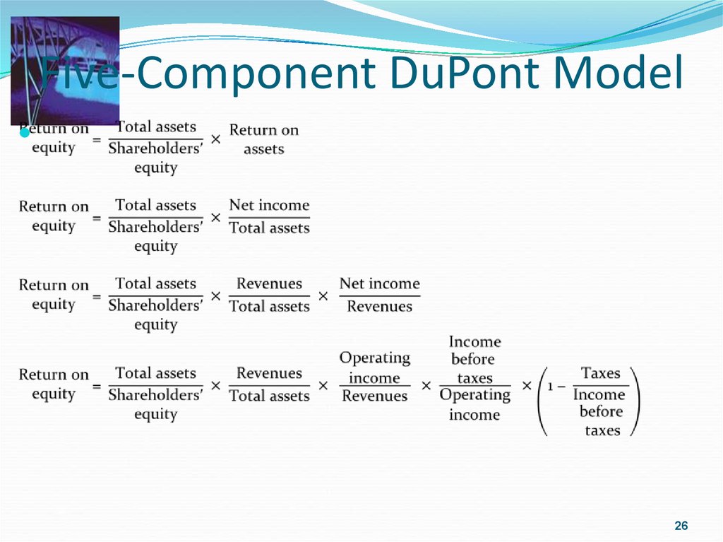 Five-Component DuPont Model