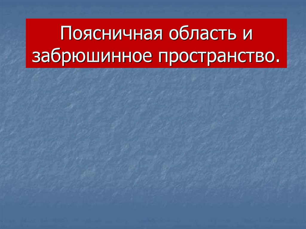 Реферат: Поясничная область и забрюшинное пространство