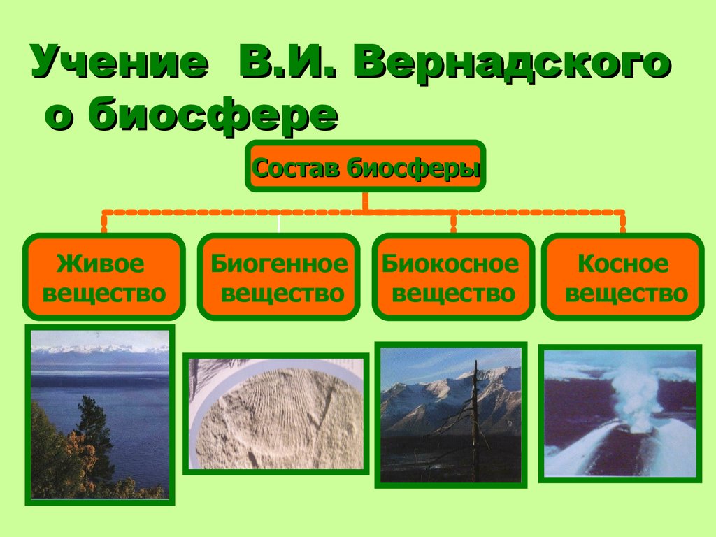 Схема вещества биосферы. Структура биосферы Вернадский. Структура биосферы. Косное вещество биосферы.. Учения Вернадского о биосфере таблица. Учение Вернадского о биосфере.
