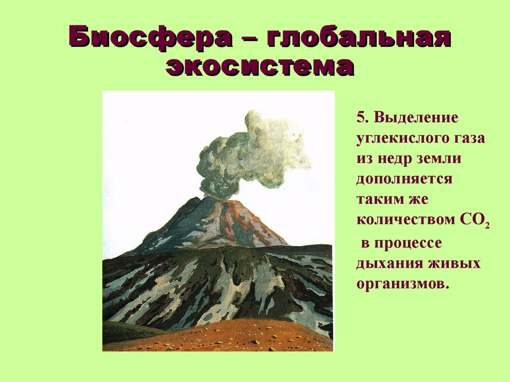 Презентация биосфера глобальная экосистема 11 класс биология