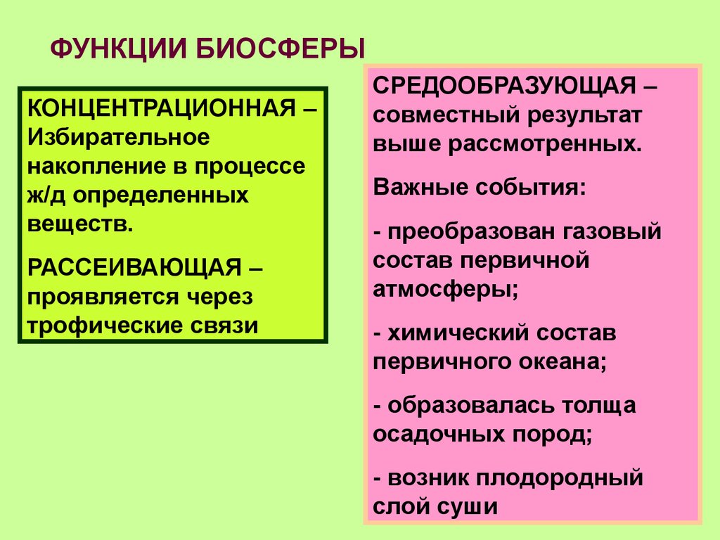 Функции биосферы. Основные функции биосферы. Средообразующая функция биосферы. Средообразующая функция живого вещества в биосфере.