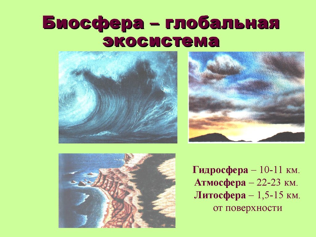 Презентация биосфера глобальная экосистема 9 класс биология