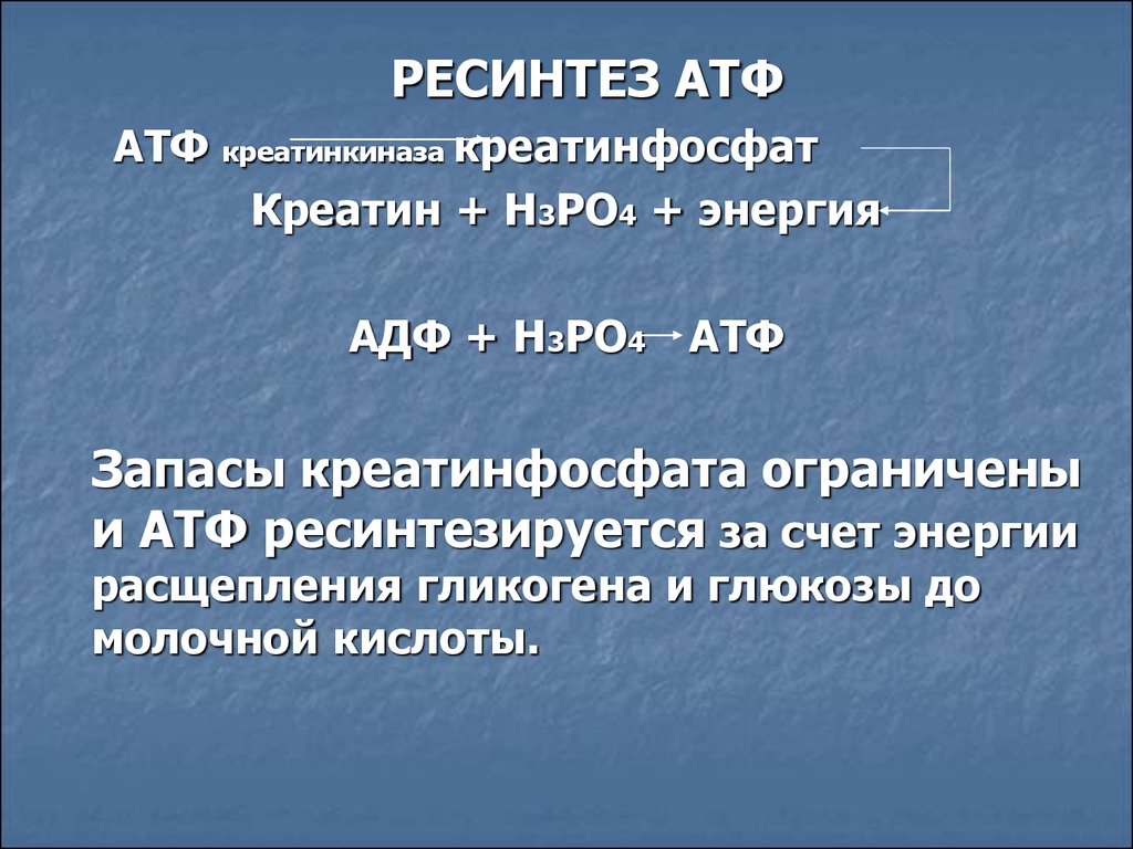 Ресинтез это. Ресинтез молочной кислоты. Нарушение ресинтеза АТФ. Ресинтез видов. Креатинкиназа 26,4.