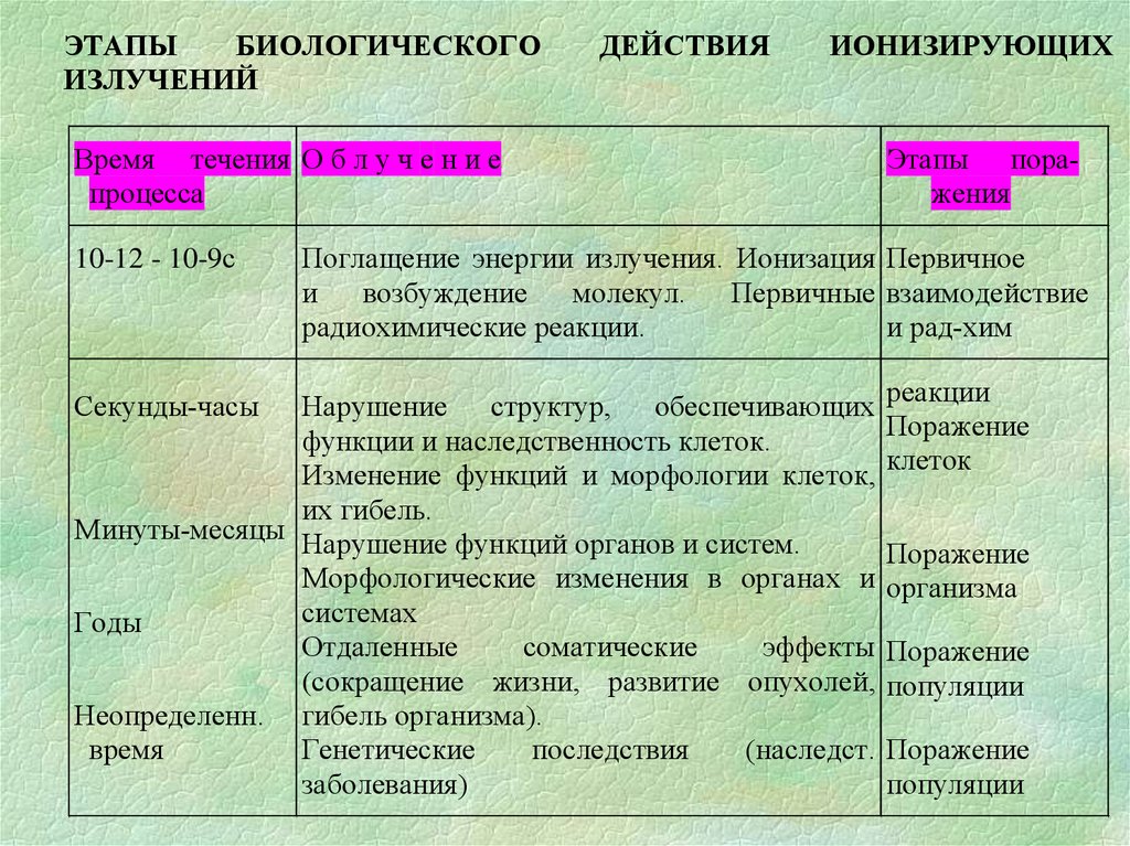 Стадии действия. Этапы биологического действия ионизирующих излучений. Характеристика заболеваний от воздействий ионизирующего излучения. Биологические эффекты ионизирующей радиации. Основные этапы биологического действия ионизирующего излучения.