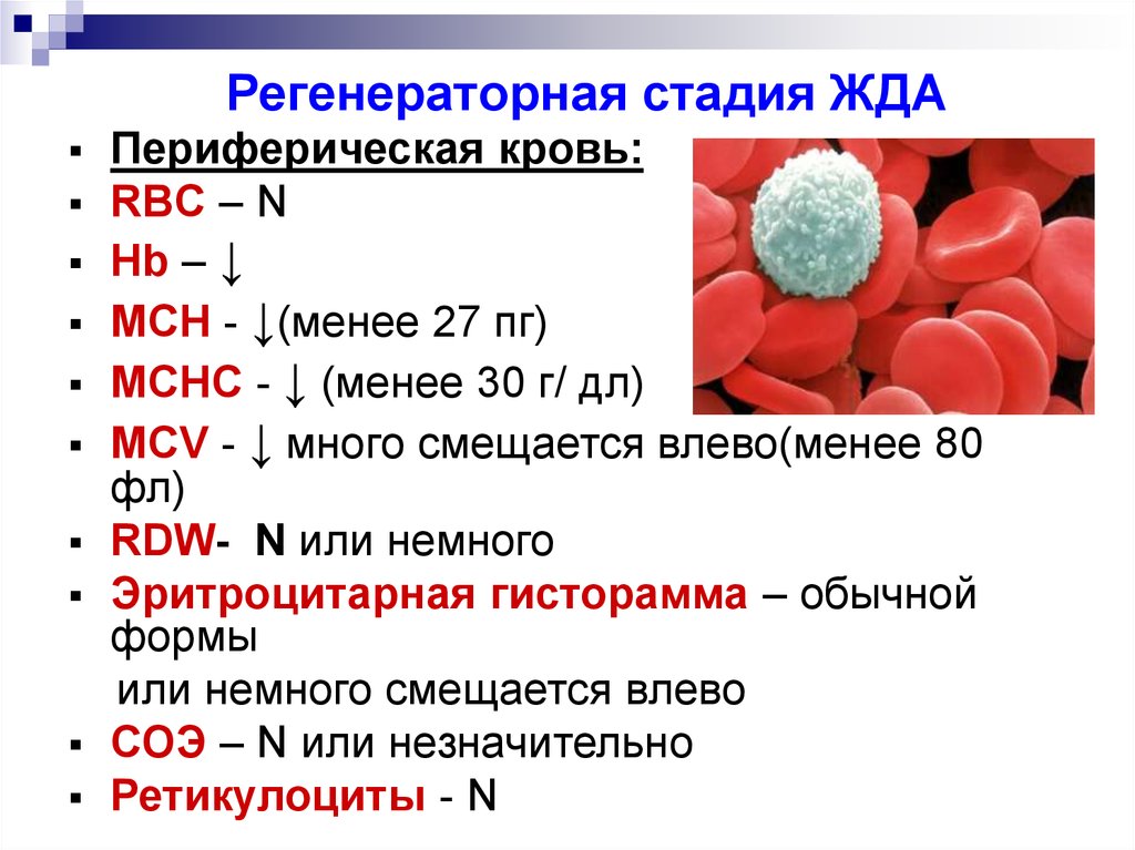 Mch анемия. Показатели при микроцитарной анемии. Морфология крови при железодефицитной анемии. Изменение эритроцитов при железодефицитной анемии. Лабораторные критерии железодефицитной анемии.