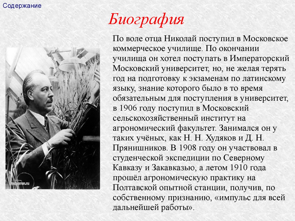 Вавилов Николай Иванович - презентация онлайн