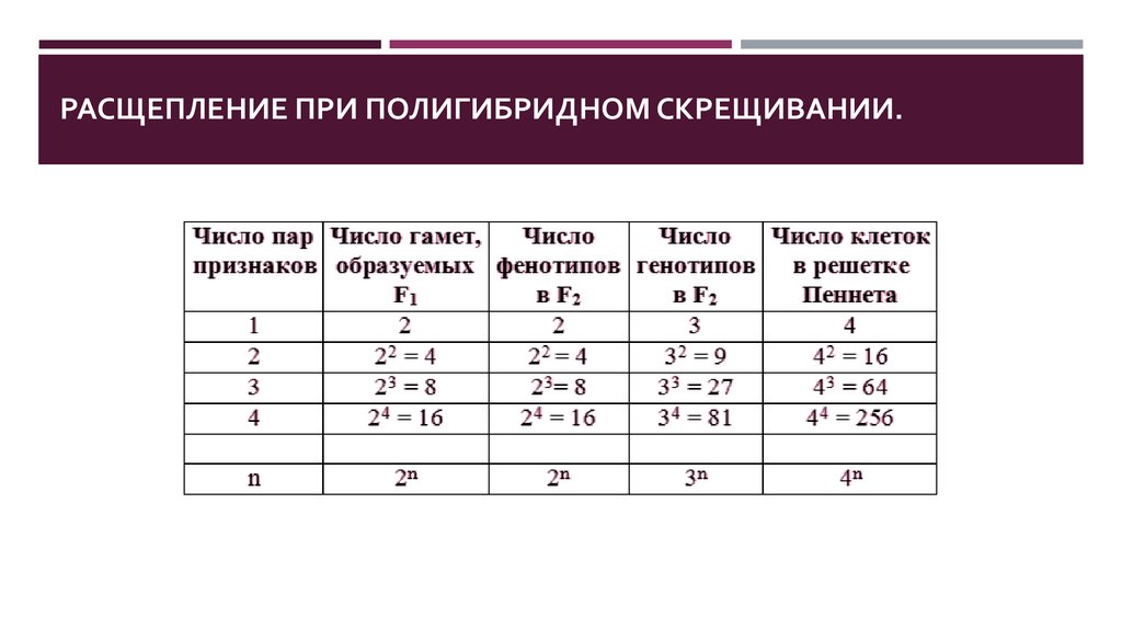 Схема полигибридного скрещивания