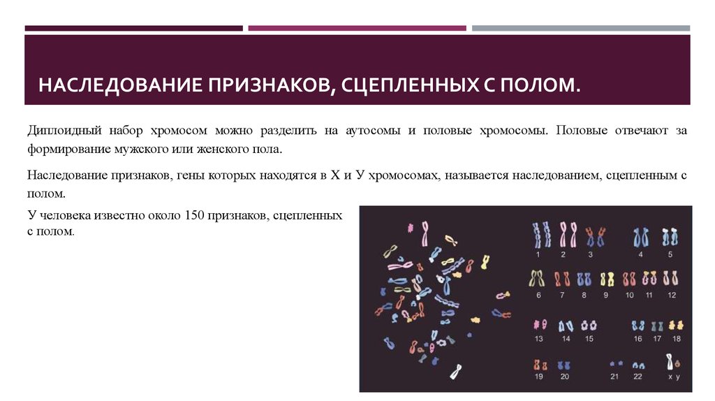 Генотип сцепленный с полом. Схема генетика пола. Наследование признаков. Наследование признаков сцепленных с полом особенности наследования. Наследование признаков, сцепленных с полом. 9 Класс. Наследование признаков, сцепленных с полом у человека и животных.