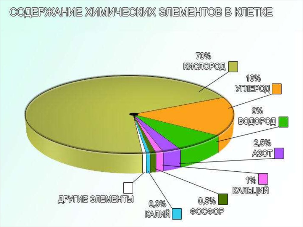 На диаграмме представлено содержание основных химических веществ в клетках растений и животных