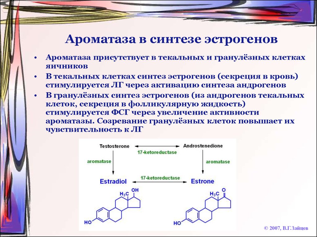 Синтез образов. Половые гормоны биохимия Синтез. Синтез ароматазы. Синтез половых гормонов биохимия. Синтез половых гормонов ароматаза.