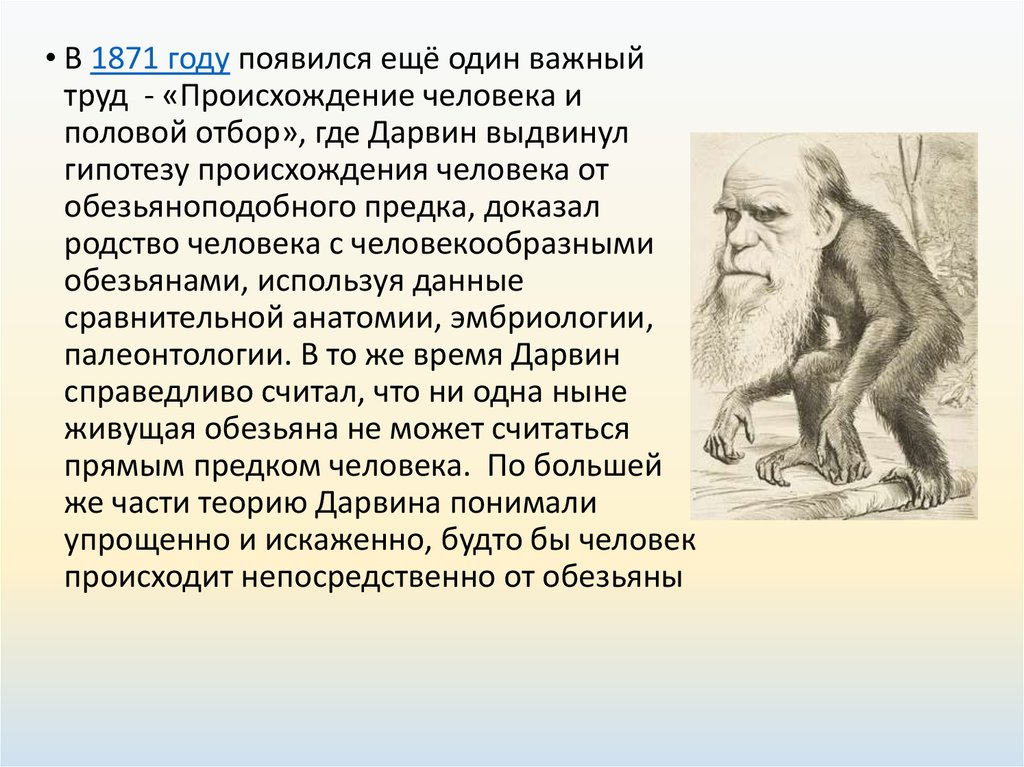Гипотеза дарвина. Ч Дарвин происхождение человека и половой отбор.