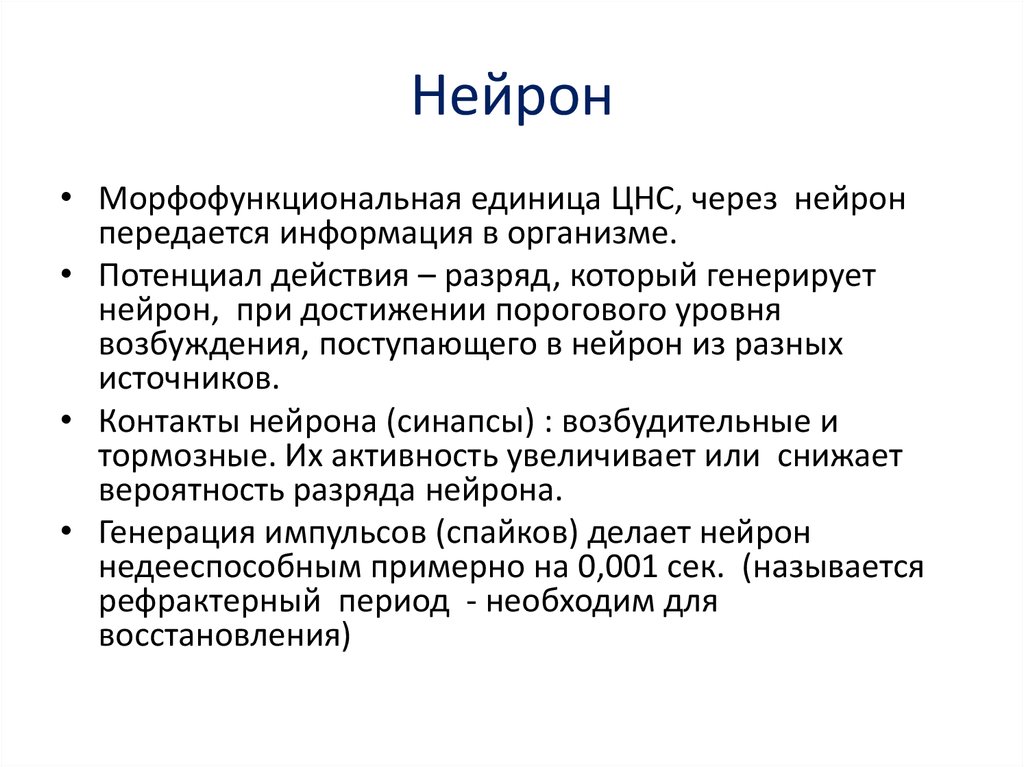 Импульсная активность нейронов