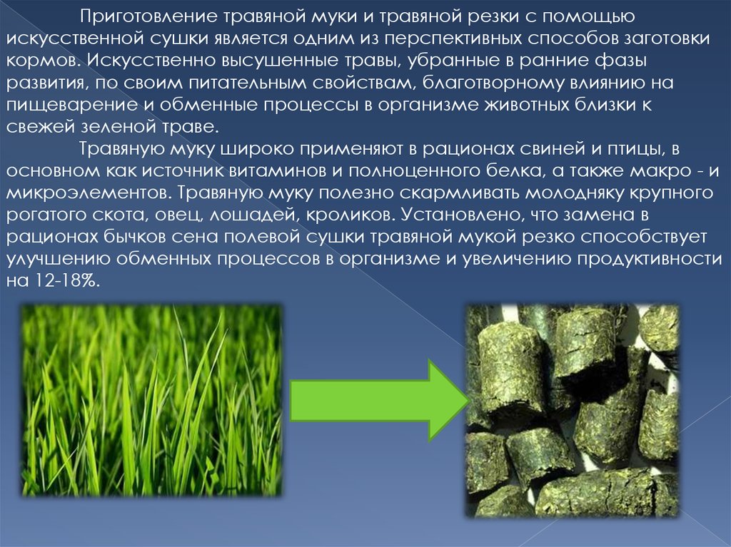 Способы переработки растений. Технология приготовления травяной муки. Схема заготовки травяной муки. Технология заготовки травяной муки. Производство зеленой травяной муки.