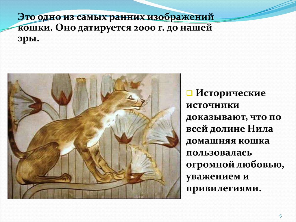 Кошка была приручена в древнем. Происхождение домашних кошек. Кошки произошли от. Эволюция домашней кошки. От кого произошли кошки домашние.