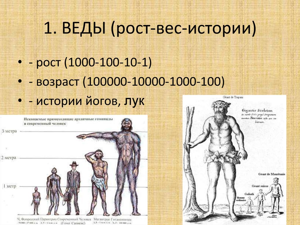 История росту