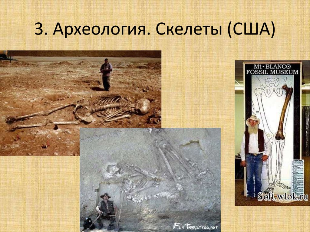 3. Археология. Скелеты (США)