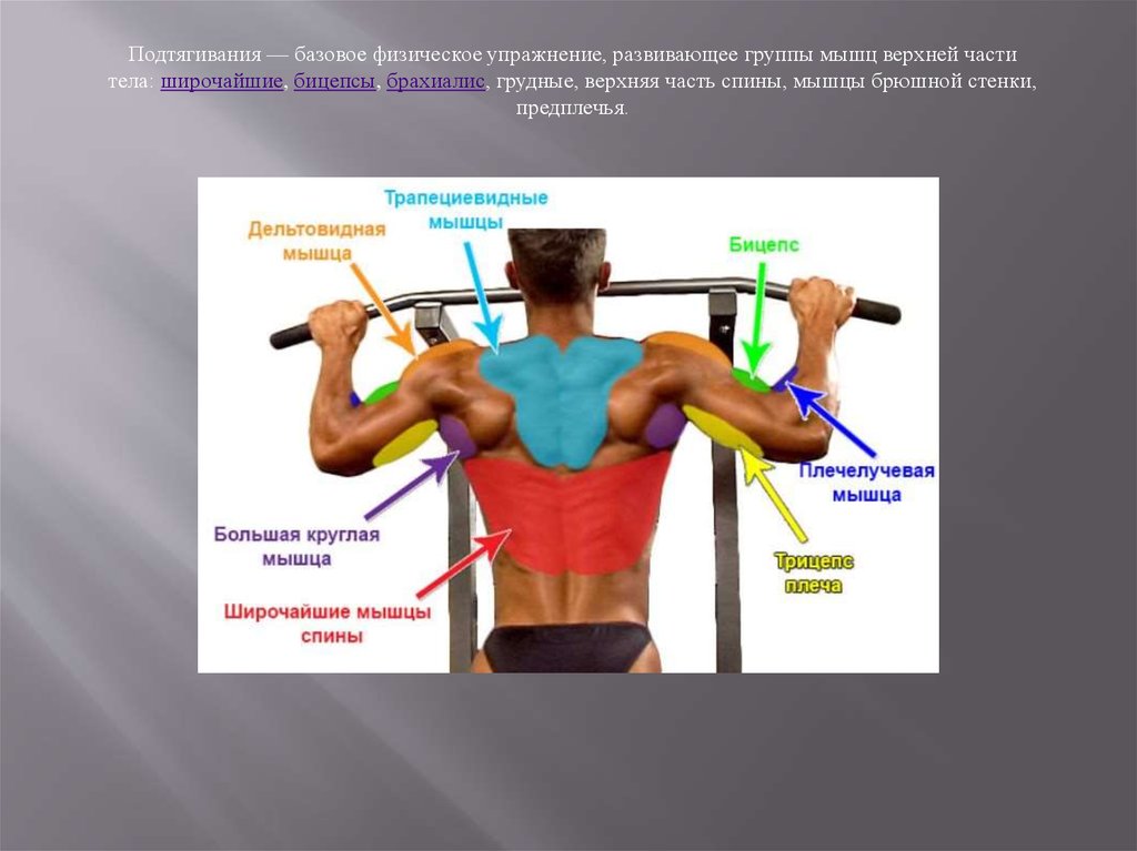 Подтягивания суставы. Упражнение подтягивание на перекладине. Подтягивания группы мышц. Подтягивания различным хватом. Мышцы участвующие при подтягивании.