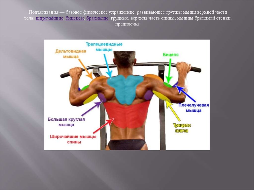 При подтягивании задействованы. Упражнение подтягивание на перекладине. Подтягивания группы мышц. Подтягивания различным хватом. Мышцы участвующие при подтягивании.