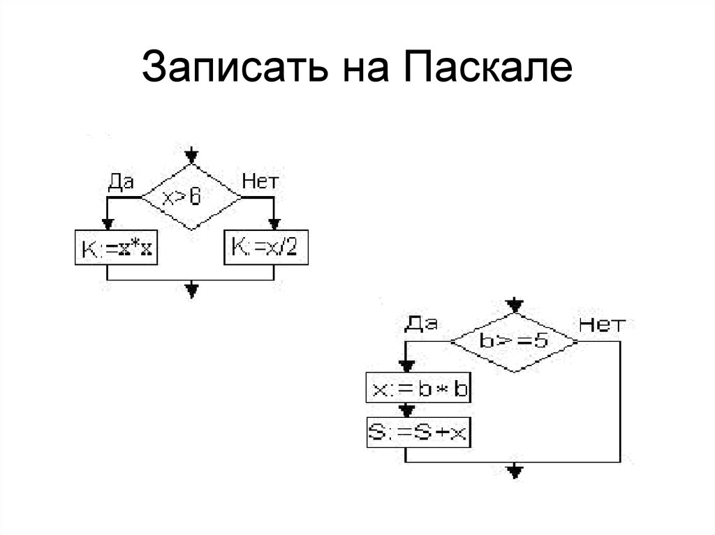 Паскаль условный оператор if презентация