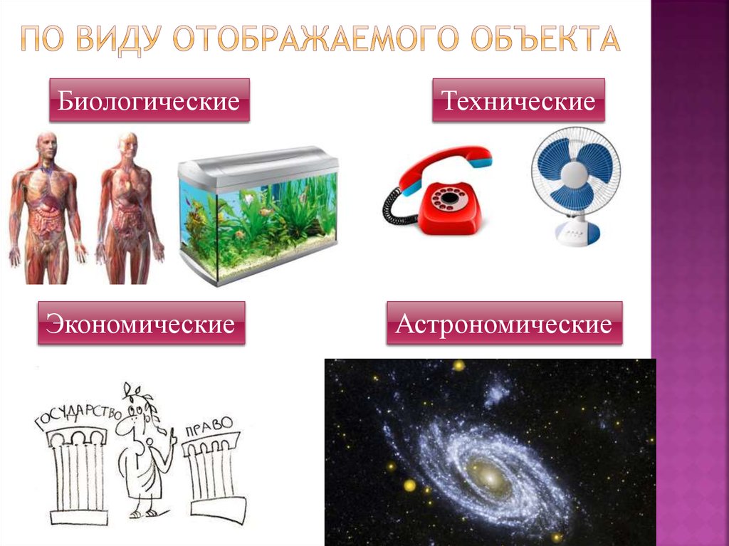 По виду отображаемого объекта