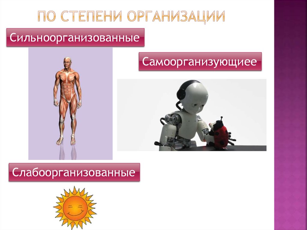 По степени организации