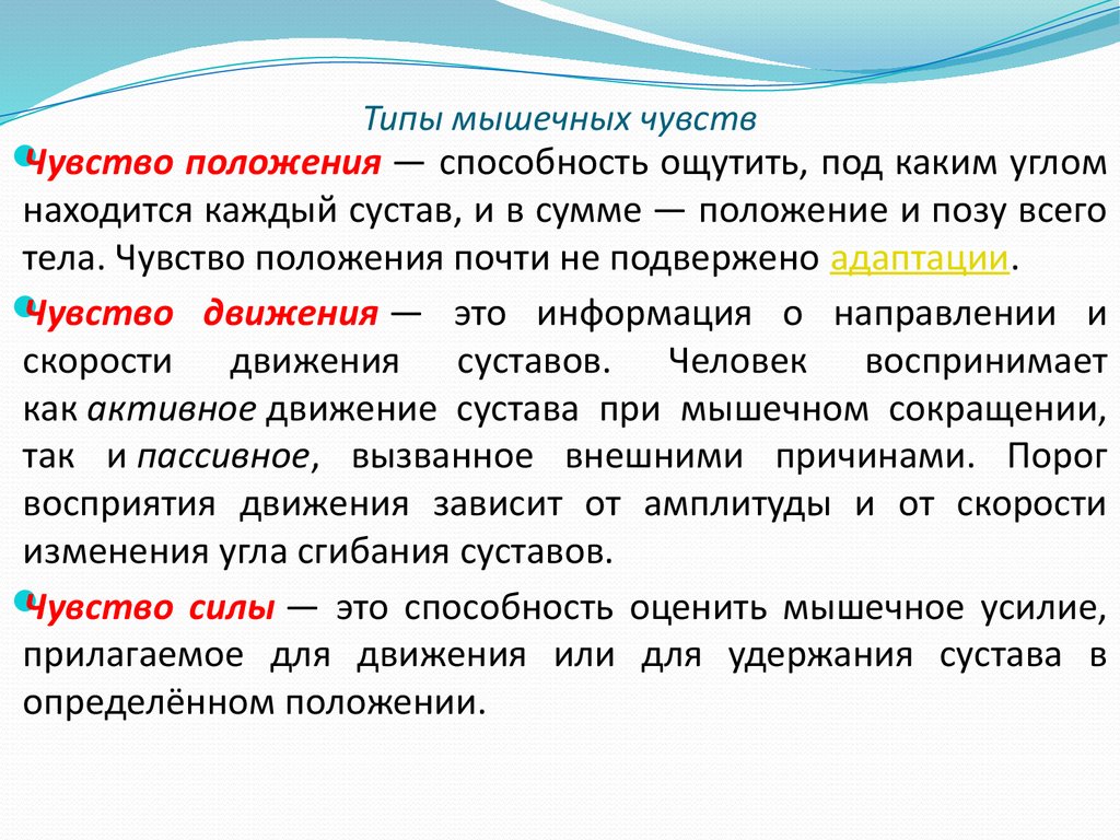 Чувства биология. Мышечное чувство кратко. Мышечное чувство строение и функции.