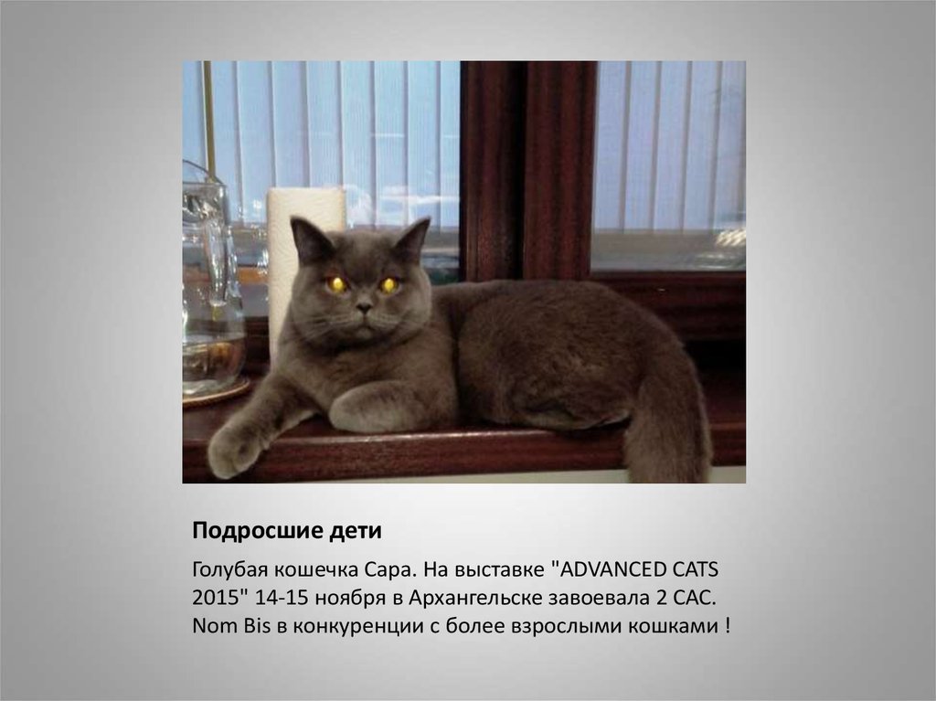 Подросшие дети