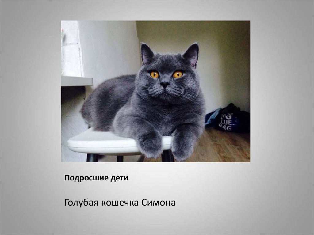 Подросшие дети