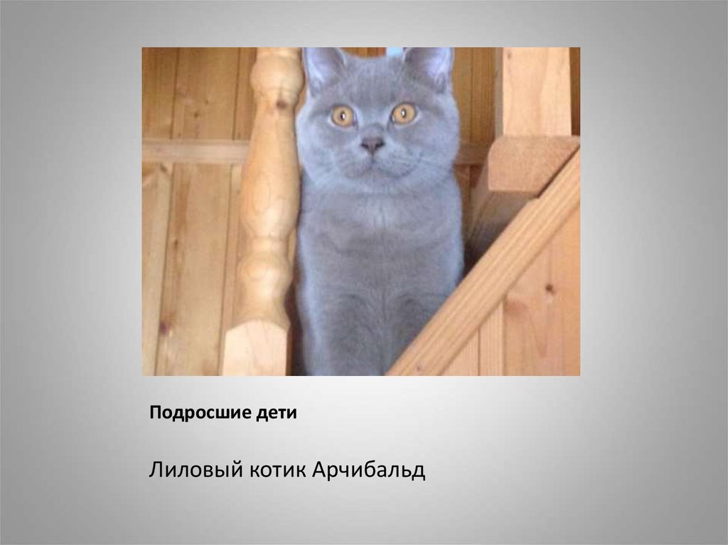 Подросшие дети