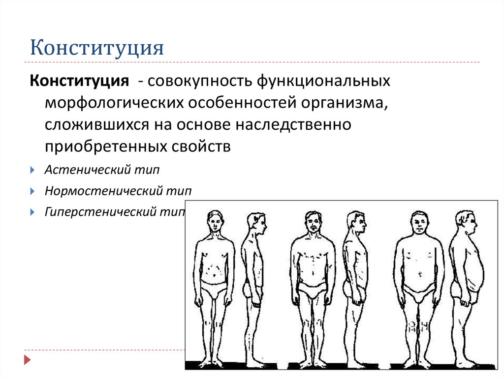 Конституция человека это. Астеник Атлетик пикник. Астеник-шизотимик. Гиперстенический Тип телосложения. Типы телосложения астенический нормостенический и гиперстенический.