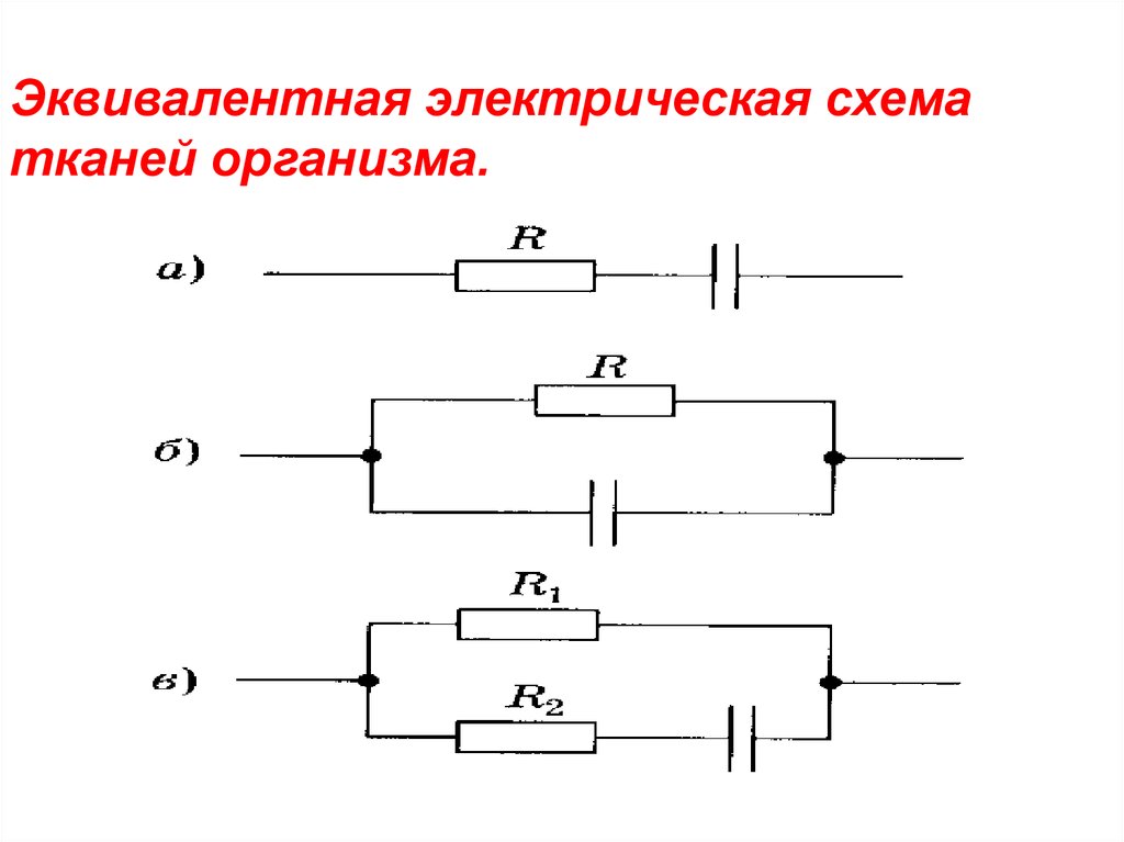 Какие сопротивления должна содержать эквивалентная электрическая схема тканей организма