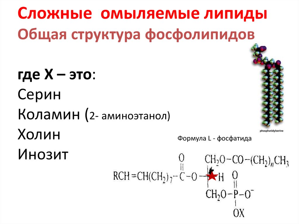 Простые омыляемые липиды