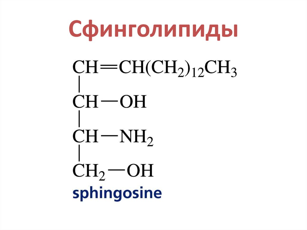 Структура глицерофосфатов и сфинголипидов. Сфинголипиды общая структурная формула. Церамиды Сфинголипиды. Сфинголипиды химическое строение. Сфинголипиды.структура роль.