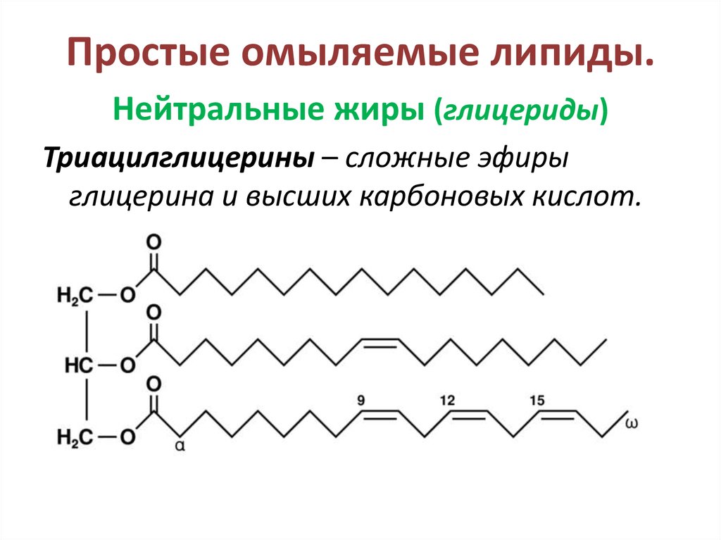 Омыляемые липиды это